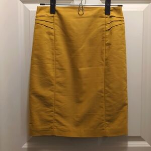 Express mid-thigh pencil skirt